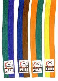 Fuji Two-Toned Belts for Judo, Karate